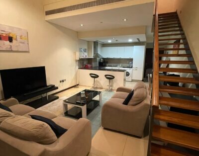 Entire apartment in the city center, located close to the subway.